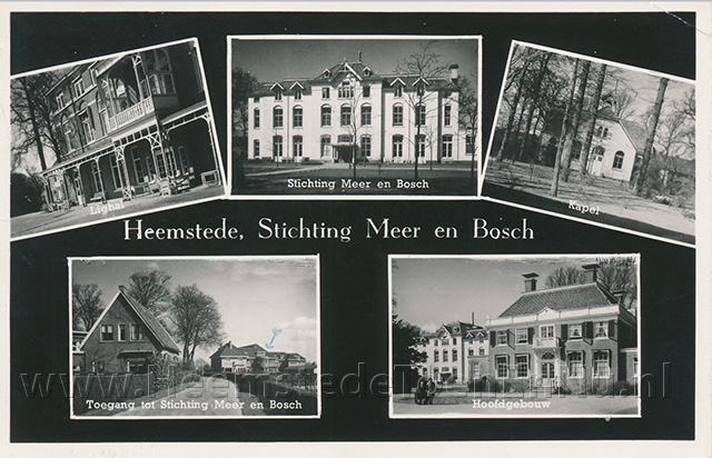 meerluik